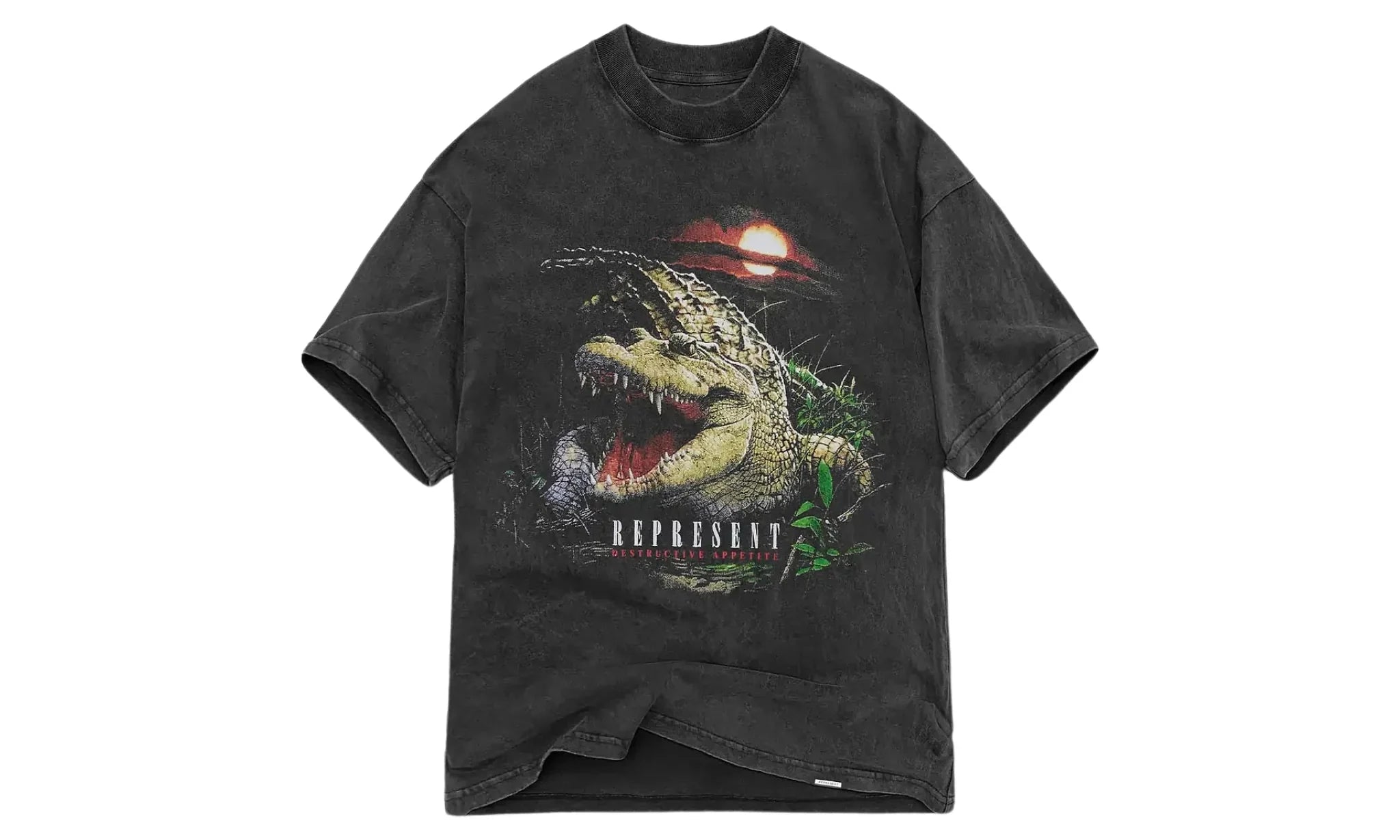 Tričko Represent Destructive Appetite T-Shirt - Vintage Grey - SneakerDefinition