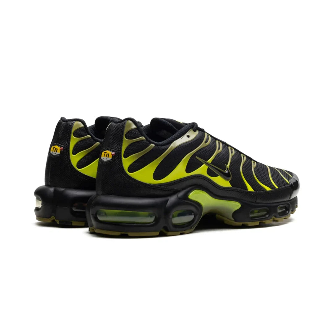 Obuv Nike Air Max Plus Pacific Moss - SneakerDefinition